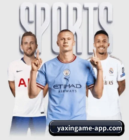 亚新 APP